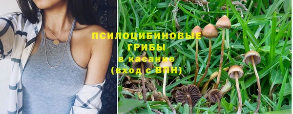 мескалин Балахна