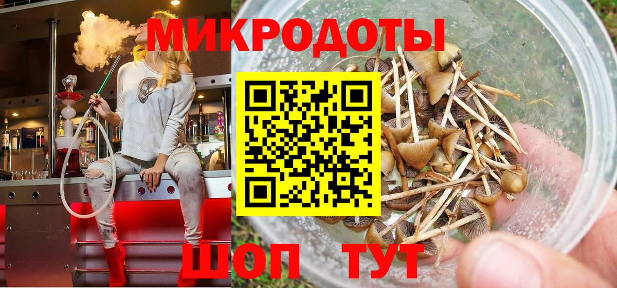 Псилоцибиновые грибы прущие грибы Бутурлиновка