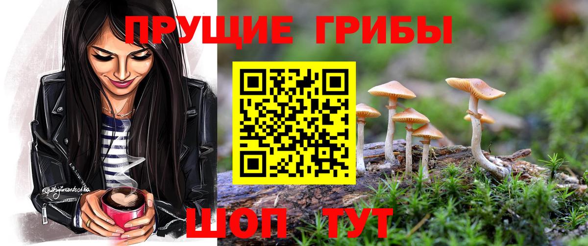 Псилоцибиновые грибы MAGIC MUSHROOMS  закладки  Бутурлиновка 